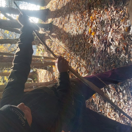 Vorschau Bild des Kurses Bogenbau in der Wildnis