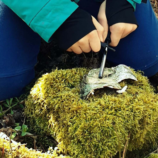 Preview image of class Feuermachen mit Kindern in der Wildnis