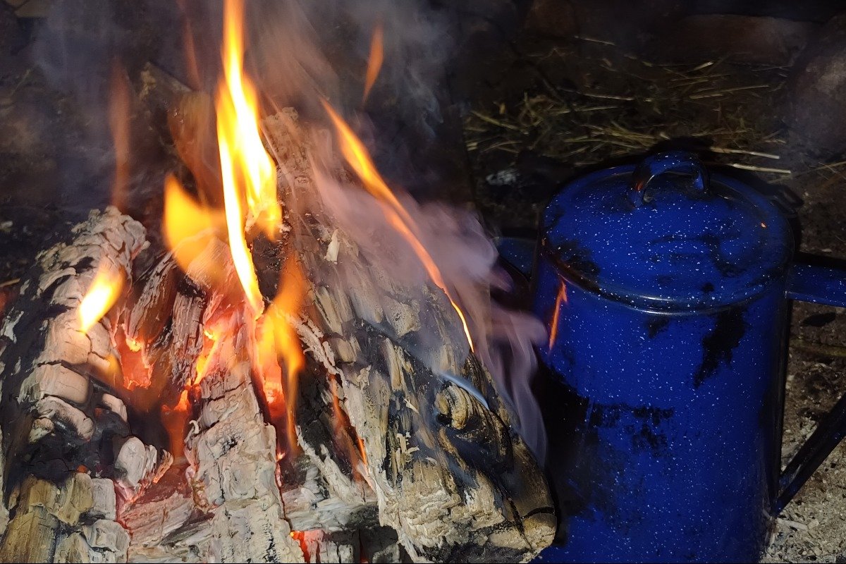 Vorschau Bild des Kurses Start ins neue Wildnisjahr