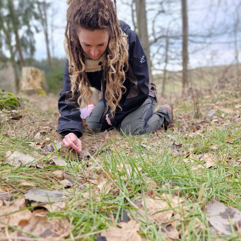 Bild des Team Mitglieds Dominique