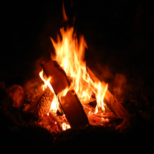 Vorschau Bild des Kurses Wildnispädagogik Ausbildung 2026