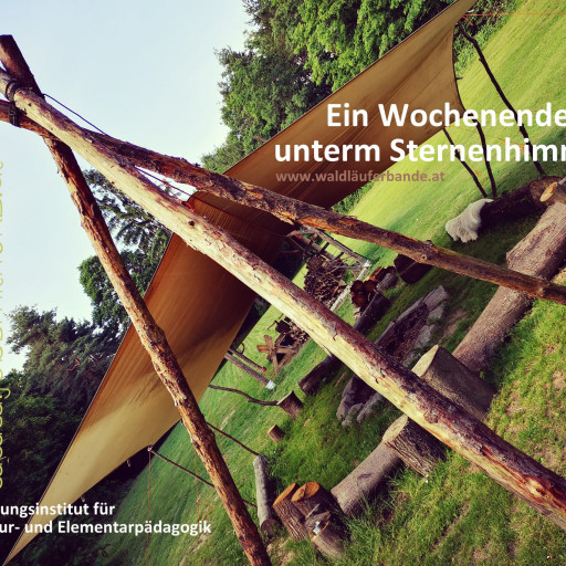 Vorschau Bild des Kurses Kernroutinen für tiefe Naturverbindung