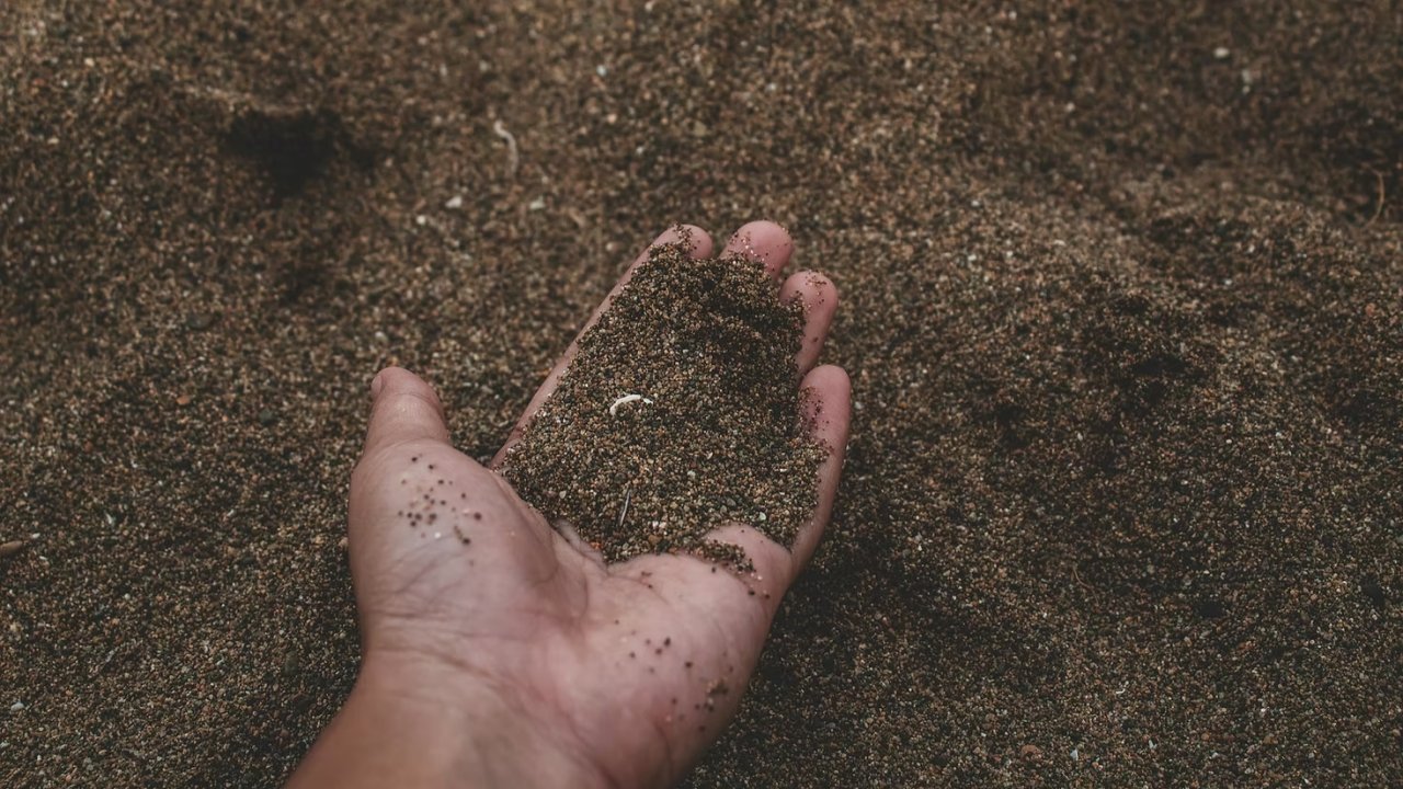 Vorschau Bild des Kurses Down to Earth: Soil for Climate Action
