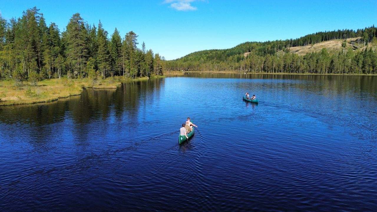 Vorschau Bild des Kurses Wildnispädagogik 3 - Wildnislehrer Ausbildung - Expert Survival Guide