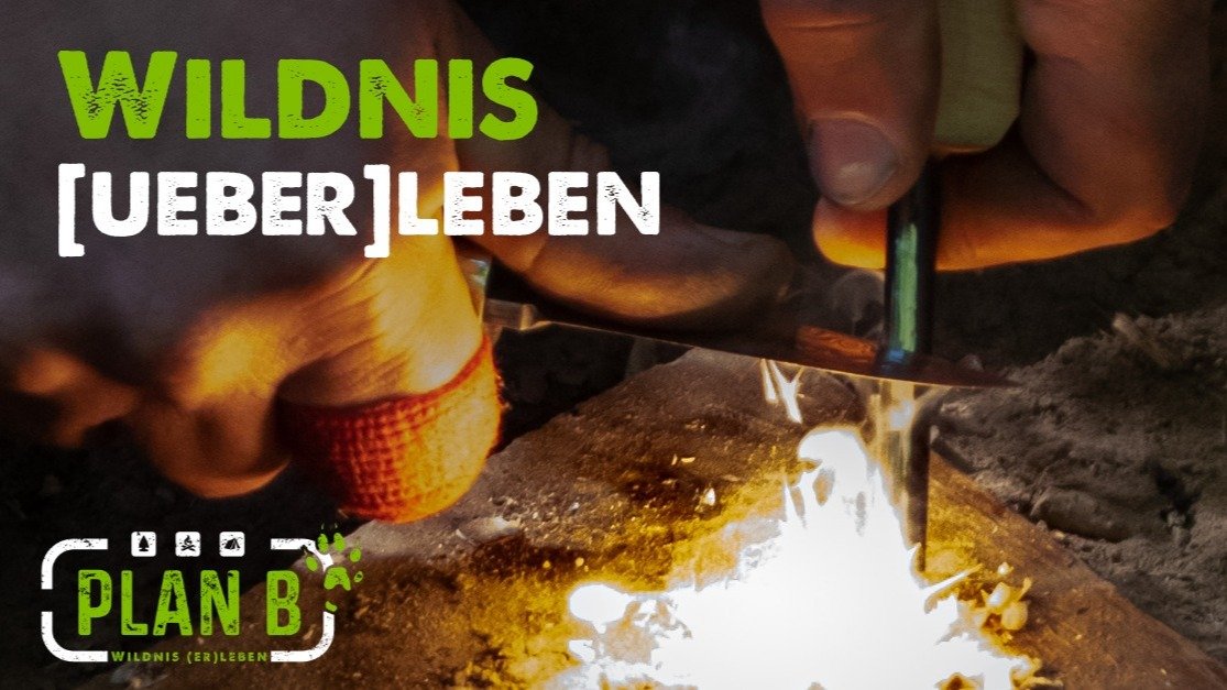 Vorschau Bild des Kurses Survival Basic