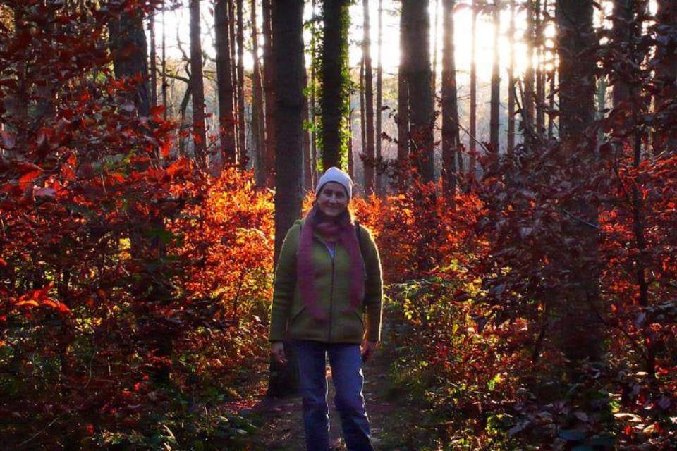 Bild des Team Mitglieds Sabine Hipp