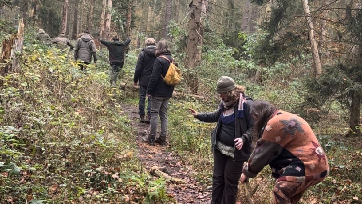 Vorschau Bild des Kurses Gemeinsam wachsen - Teambuilding in der Natur