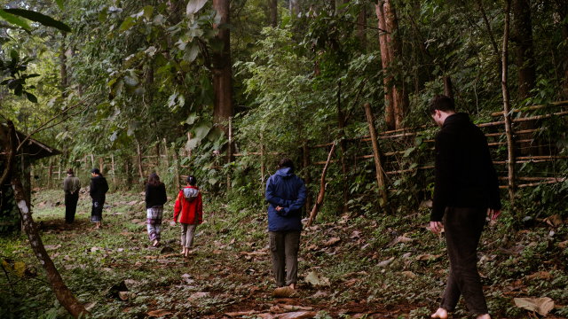 Vorschau Bild des Kurses The Nature Praxis: Ecotherapy Facilitation Essentials