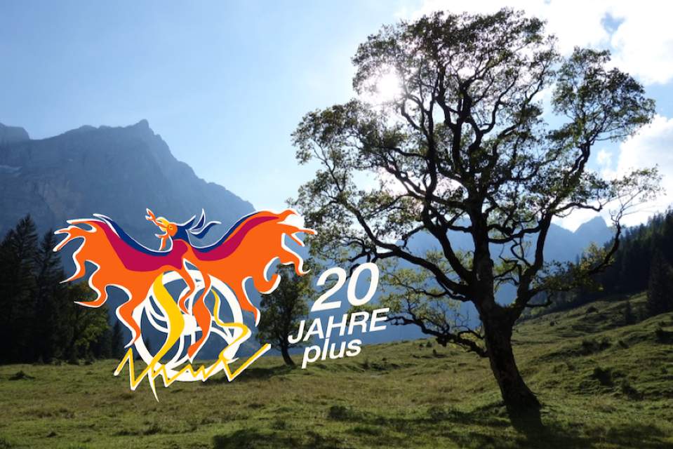 Vorschau Bild des Kurses Bäume, Knospen & essbare Wurzeln