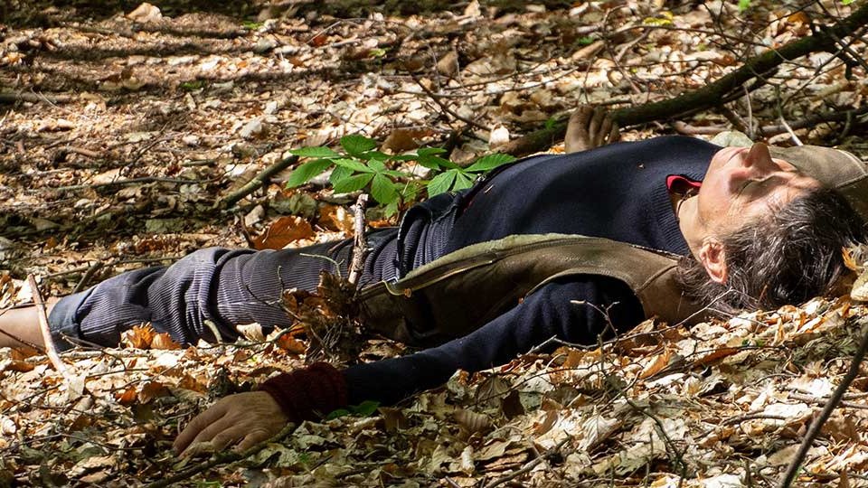 Vorschau Bild des Kurses The Shaman's Way of Growth through Trauma