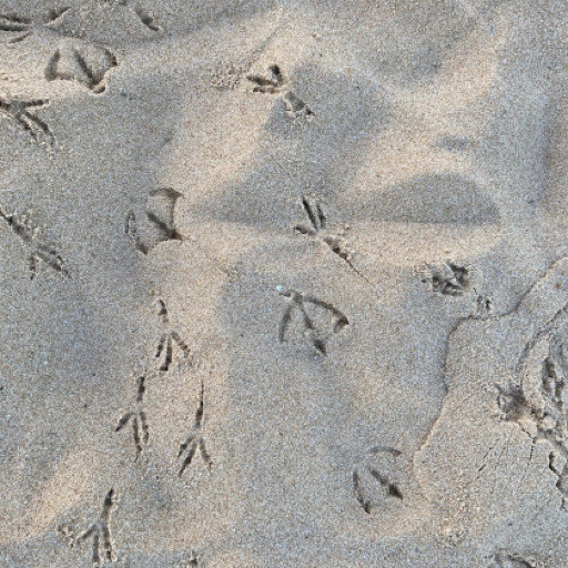 Vorschau Bild des Kurses Spuren und Zeichen der heimischen Wildtiere