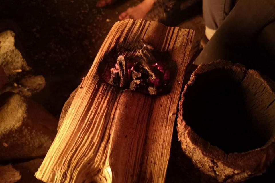 Vorschau Bild des Kurses Survival-Basis-Training Frühsommer 2026