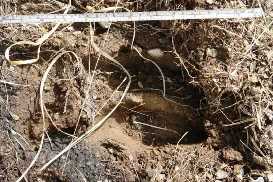 Vorschau Bild des Kurses "Fährtensucher" - eine Spurenwoche