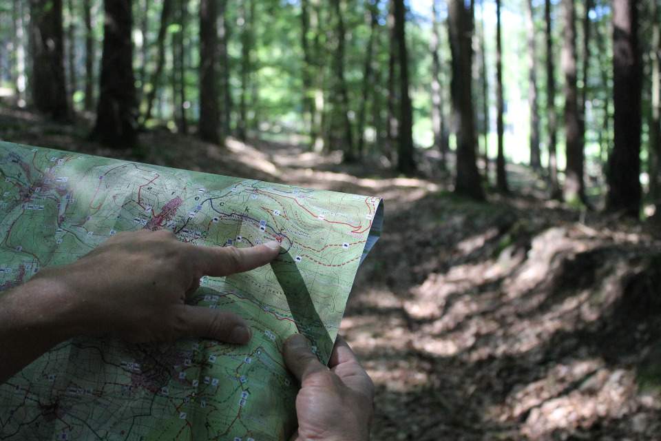 Vorschau Bild des Kurses Navigation mit Karte & Kompass und Tierfährten