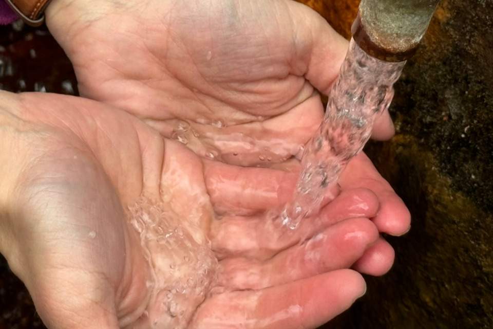 Vorschau Bild des Kurses After Work Waldbaden - Heilquelle