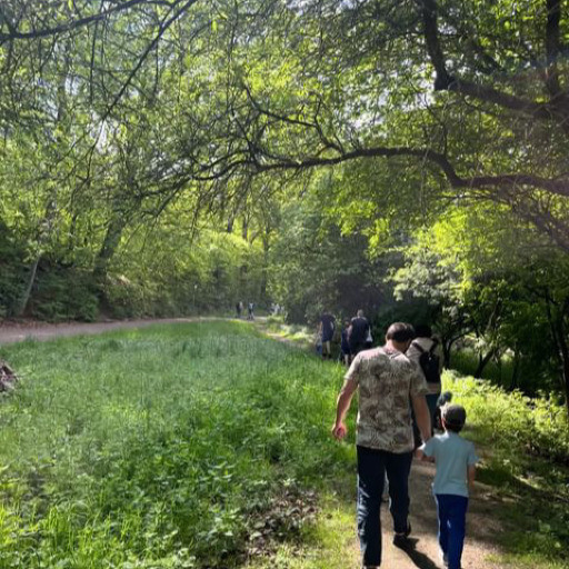 Vorschau Bild des Kurses Waldzeit - Familien - Frühling