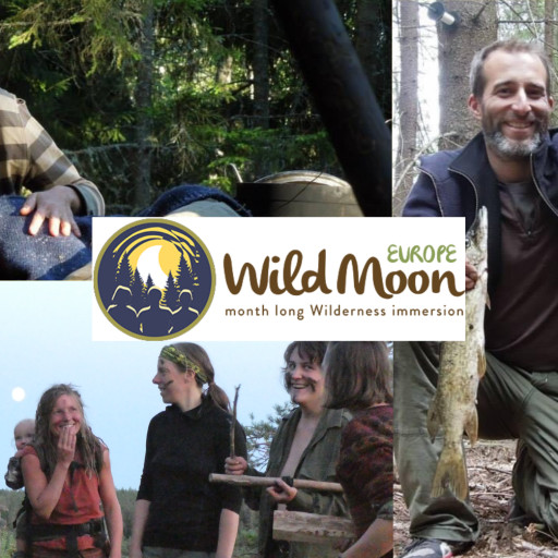 Vorschau Bild des Kurses Blueberry Wild Moon