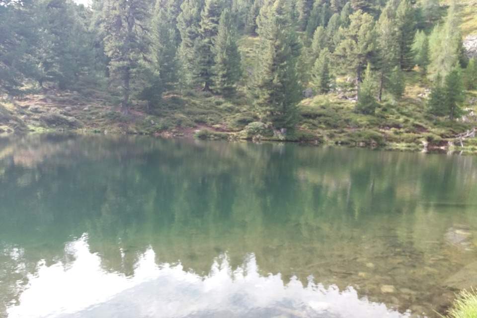 Vorschau Bild des Kurses Kräuterwanderung Güntersberge - Elbingstalteich