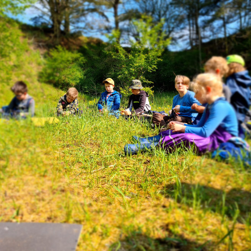 Vorschau Bild des Kurses Tagescamps für Kinder