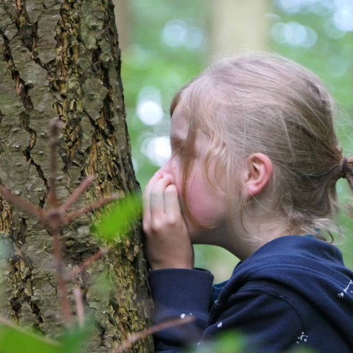 Vorschau Bild des Kurses Waldscouts Dertingen