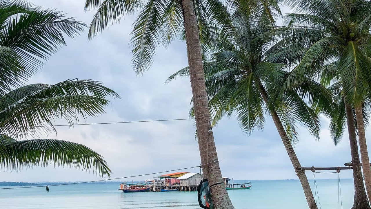 Vorschau Bild des Kurses Mindful Nature Connection