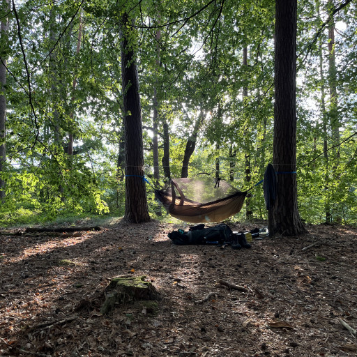 Vorschau Bild des Kurses Wildnis in Stille - Aufbaukurs