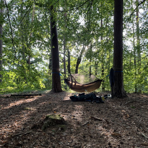 Vorschau Bild des Kurses Wildnis in Stille - Aufbaukurs