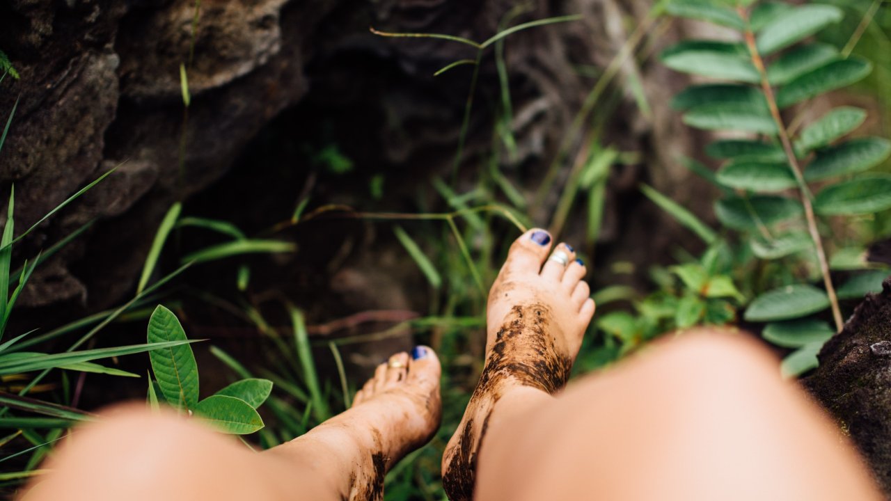 Vorschau Bild des Kurses Wilde Gabe - Folge deinem Ruf