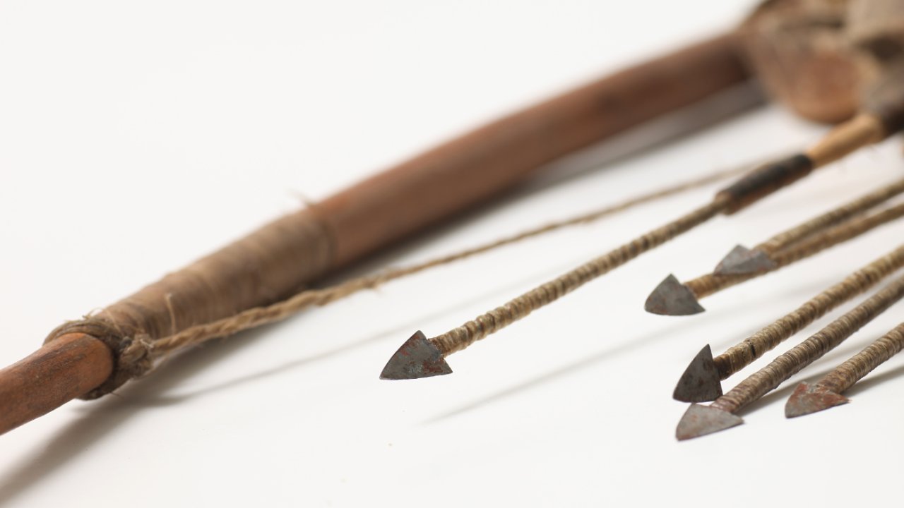 Vorschau Bild des Kurses Primitiver Bogenbau Kurs im Odenwald - Der Steinzeit-Bogen aus Grünholz – Handwerk ohne Kompromisse
