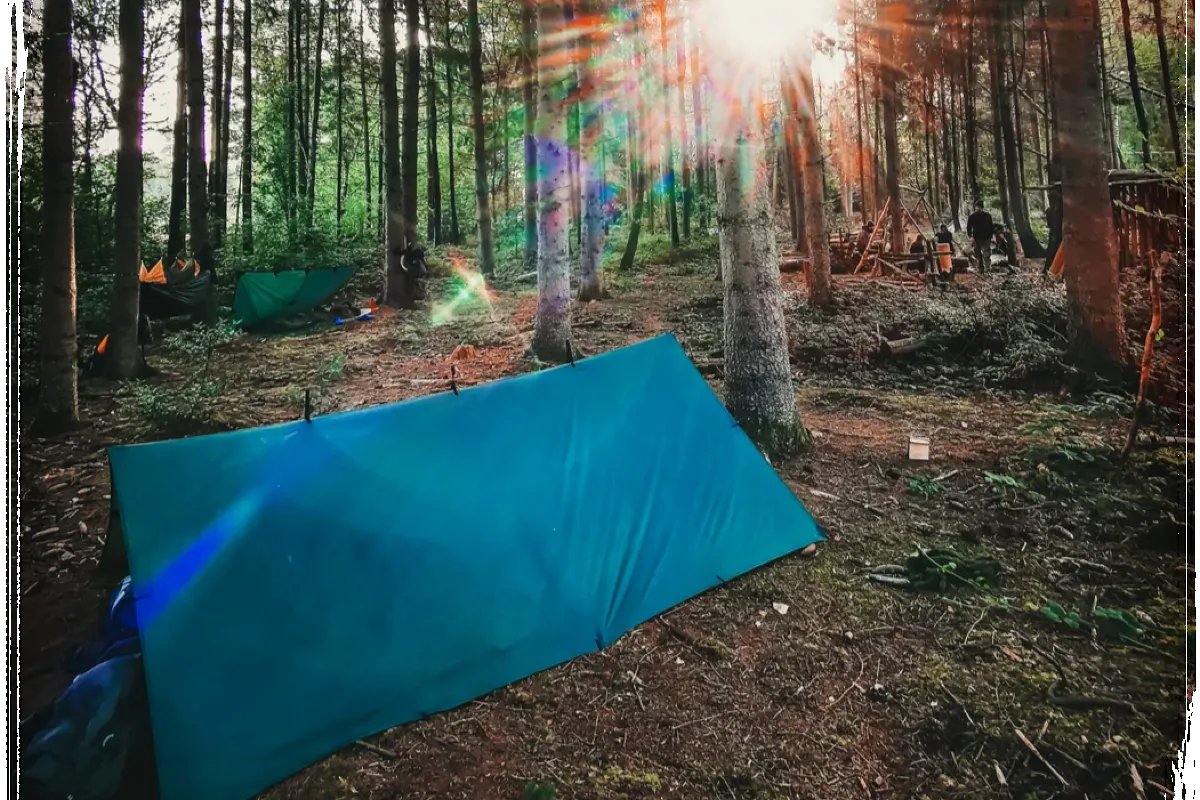 Vorschau Bild des Kurses Wildnispädagogik Ausbildung (Start: Ende März 2026)