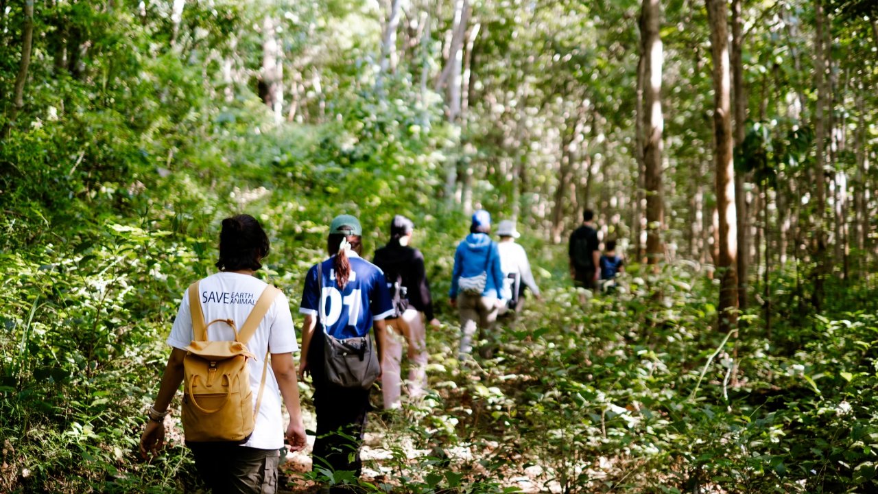Vorschau Bild des Kurses Nature Senses Connection Camp