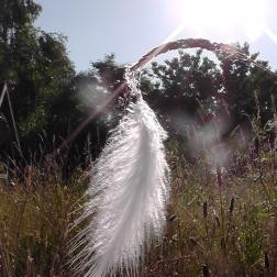 Vorschau Bild des Kurses Erdpilosophie III - Präsenz von Orten