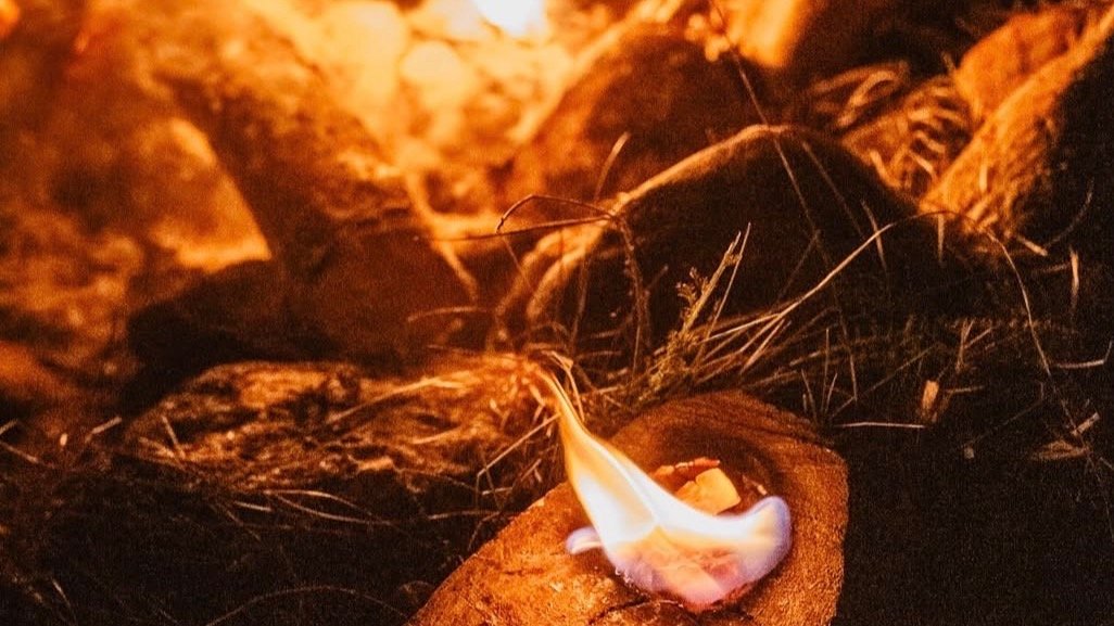 Vorschau Bild des Kurses "Wildes Handwerk"