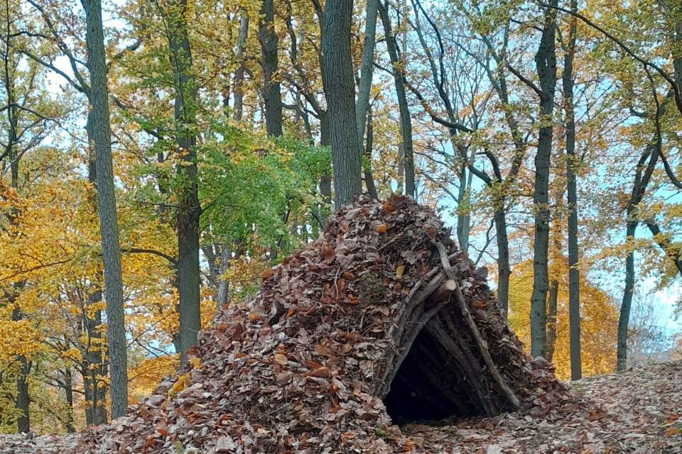 Vorschau Bild des Kurses Laubhüttenbau, Tarp-Varianten und Knotenkunde