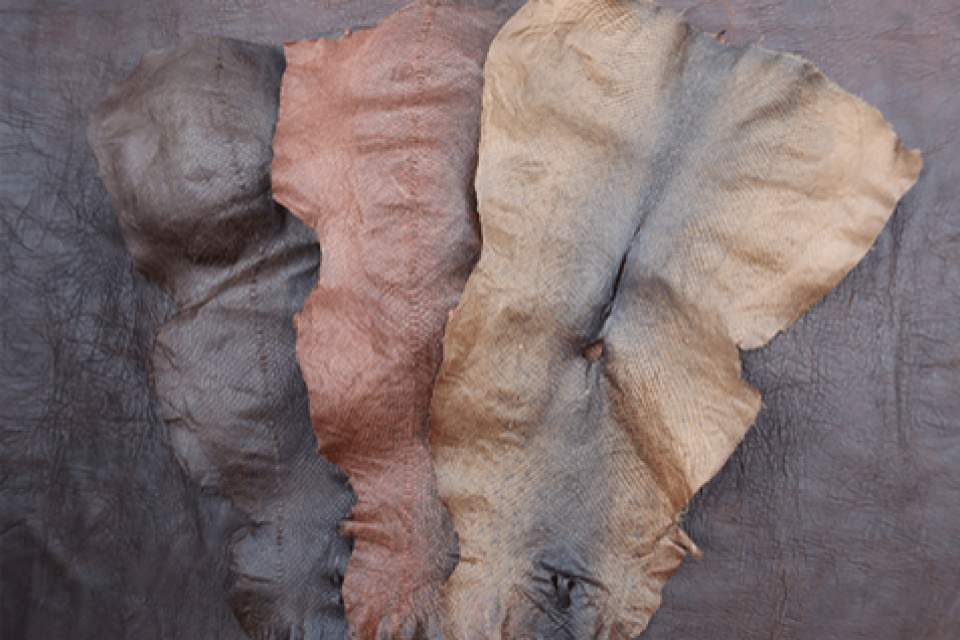 Vorschau Bild des Kurses RINDENGERBUNG & WILDLEDERKLEIDUNG