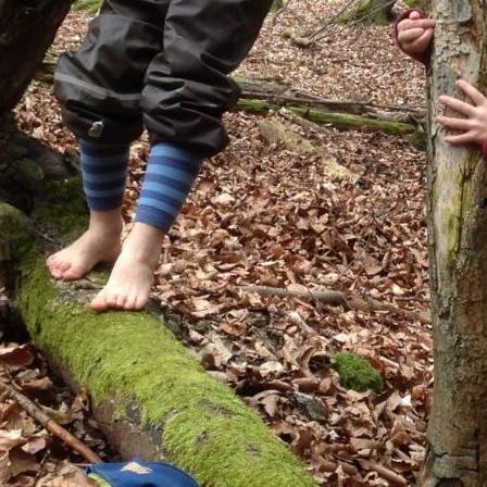 Vorschau Bild des Kurses Frühlings-Wald-Leben