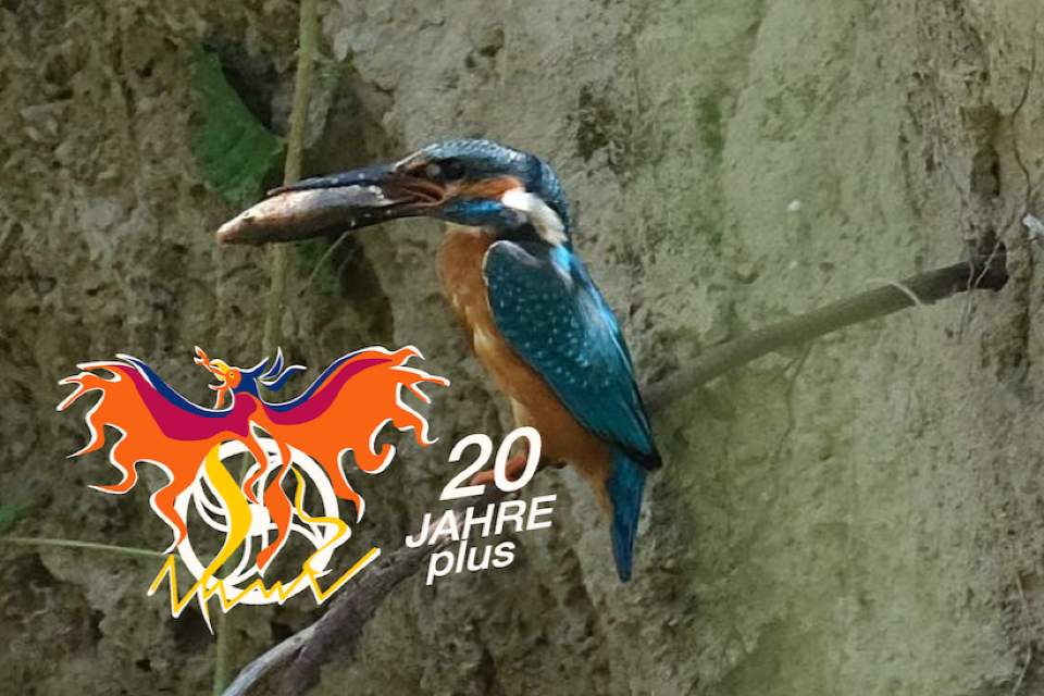 randomly picked image number 5 of outdoor class offering on wildnet