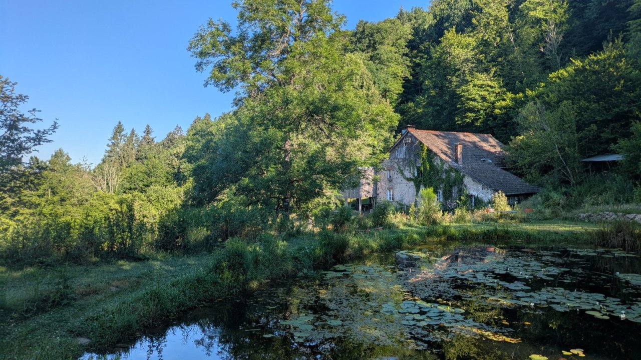 Vorschau Bild des Kurses Visionssuche in den Vogesen