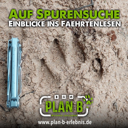Vorschau Bild des Kurses Grundlagen des Spurenlesens