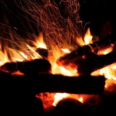 Vorschau Bild des Kurses Wildes Jahr "Natur-MentorIn"