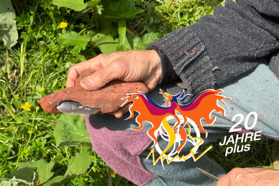 Vorschau Bild des Kurses WP2 - Art of Mentoring und mehr