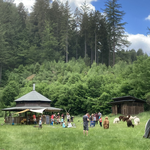 Vorschau Bild des Kurses Wilde Bande