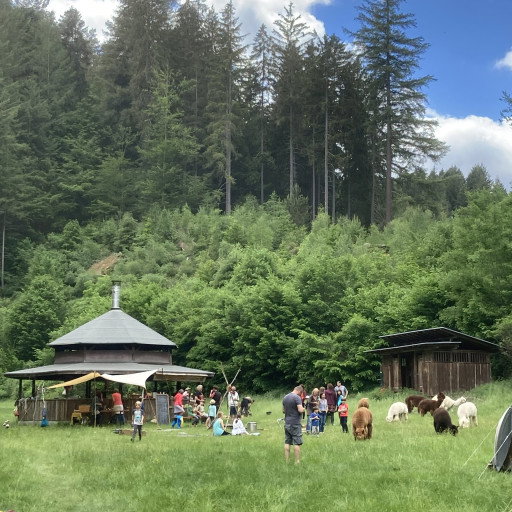 Vorschau Bild des Kurses Wilde Bande