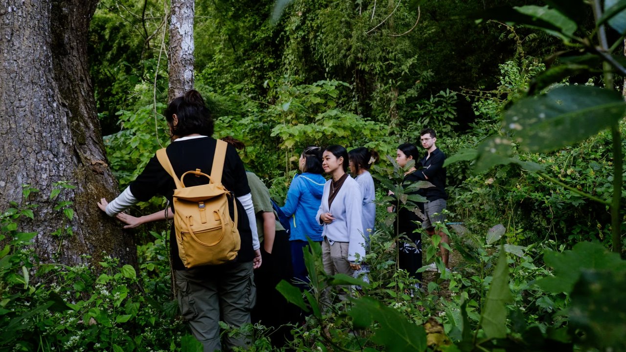 Vorschau Bild des Kurses Outdoor Facilitation: Guiding in Nature