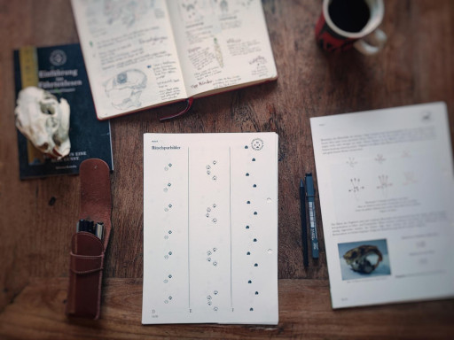 Vorschau Bild des Kurses Spurenlesen vor der Haustür