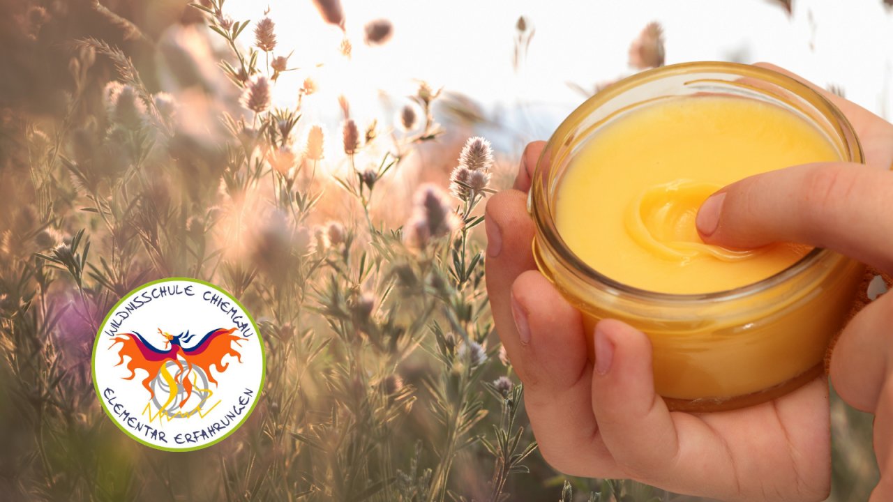 Vorschau Bild des Kurses Erlebnistag - Wundheilsalbe aus Wildpflanzen (Eltern-Kind-Kurs)
