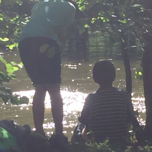 Vorschau Bild des Kurses Sommer-Wald-Leben