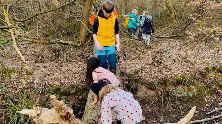 Vorschau Bild des Kurses Die Wildlinge Block 3 für Kinder von 6 -12 Jahren