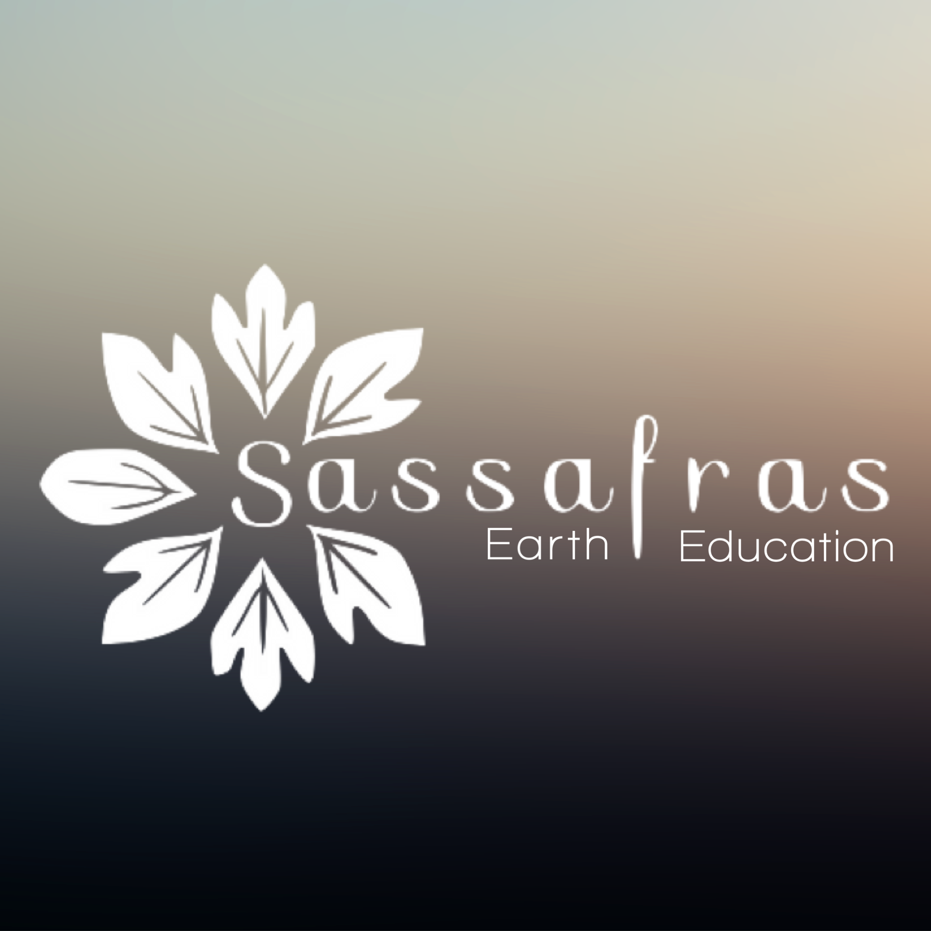 Logo der Wildnisschule Sassafras Earth Education