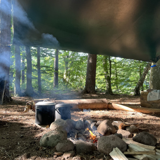 Vorschau Bild des Kurses Wildnispädagogik I